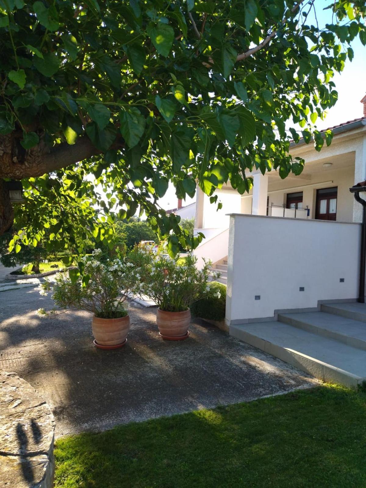 Villa Ivana Medulin Exteriér fotografie